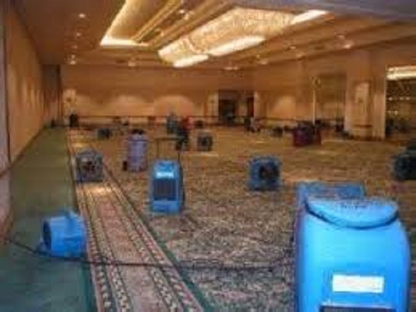 Disaster Cleanup in Brandon, FL Image